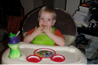 November 2010 Photos