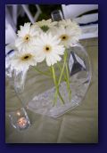 GKDWedding0492.jpg