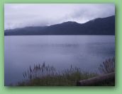 Olympic National Park_May_08 057.jpg