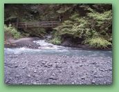 Olympic National Park_May_08 073.jpg