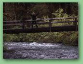 Olympic National Park_May_08 074.jpg