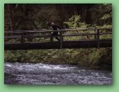 Olympic National Park_May_08 075.jpg