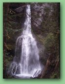 Olympic National Park_May_08 080.jpg