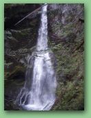 Olympic National Park_May_08 082.jpg