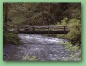 Olympic National Park_May_08 086.jpg