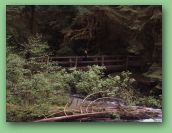 Olympic National Park_May_08 087.jpg