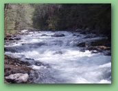 Olympic National Park_May_08 103.jpg