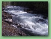 Olympic National Park_May_08 105.jpg