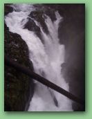 Olympic National Park_May_08 110.jpg