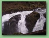 Olympic National Park_May_08 115.jpg