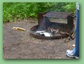 Olympic National Park_May_08 296.jpg