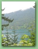 Olympic National Park_May_08 299.jpg