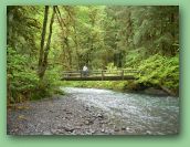 Olympic National Park_May_08 322.jpg