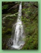 Olympic National Park_May_08 342.jpg