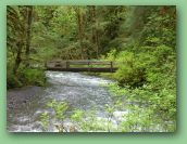 Olympic National Park_May_08 346.jpg