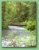 Olympic National Park_May_08 347.jpg