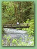 Olympic National Park_May_08 348.jpg