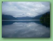 Olympic National Park_May_08 354.jpg