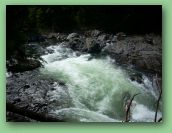 Olympic National Park_May_08 362.jpg