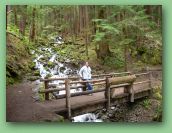 Olympic National Park_May_08 373.jpg