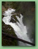 Olympic National Park_May_08 375.jpg