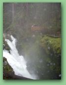 Olympic National Park_May_08 376.jpg