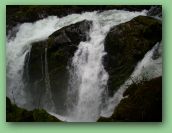 Olympic National Park_May_08 377.jpg