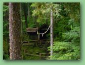 Olympic National Park_May_08 386.jpg