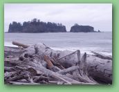 Olympic National Park_May_08 126.jpg