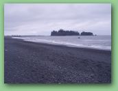 Olympic National Park_May_08 127.jpg