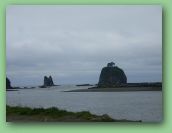 Olympic National Park_May_08 408.jpg