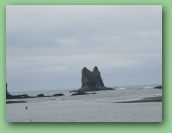 Olympic National Park_May_08 409.jpg