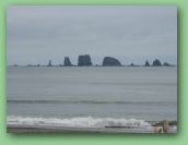 Olympic National Park_May_08 410.jpg