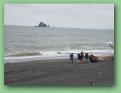 Olympic National Park_May_08 416.jpg