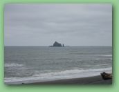 Olympic National Park_May_08 417.jpg