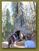 Summer_2010_Yosemite 070.jpg