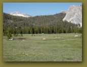 Summer_2010_Yosemite 173.jpg