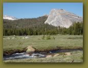 Summer_2010_Yosemite 176.jpg