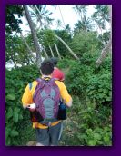 lavena coastal walk and waterfall.jpg