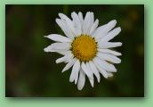 0625b331.JPG
